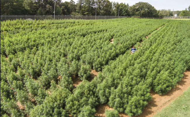 Screenshot 2019-07-16 at 14.11.51