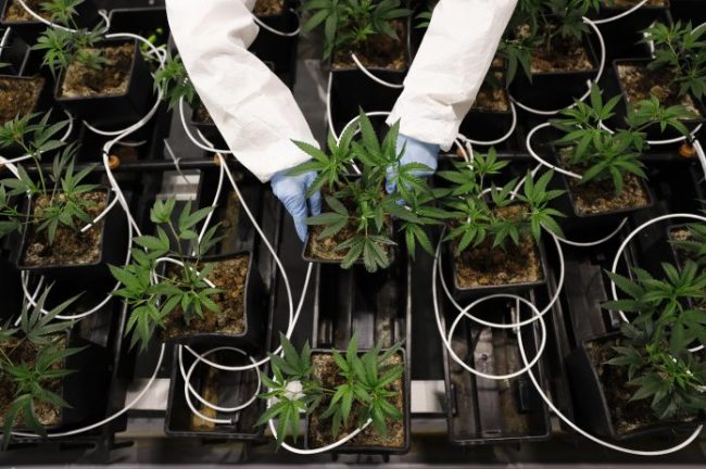 321402962_1-4-696×463