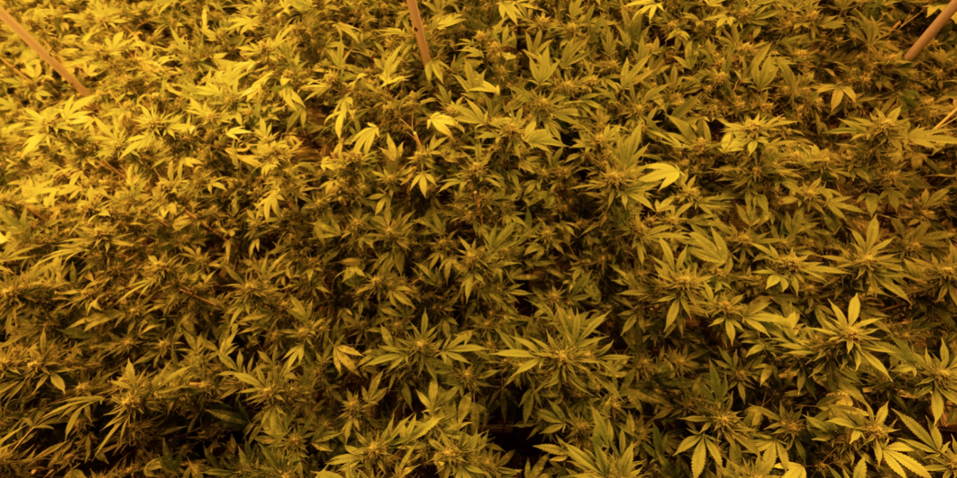 Screenshot 2022-01-21 at 11.12.50