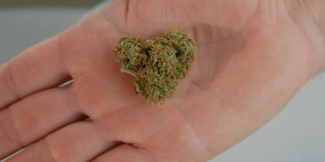 Screenshot 2022-04-08 at 11.11.00