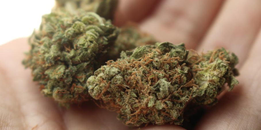 Screenshot 2022-07-21 at 12.16.24