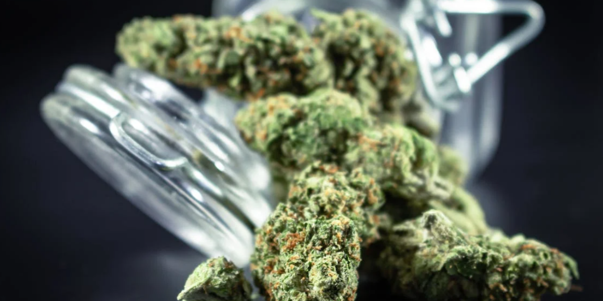 Screenshot 2023-08-02 at 11.05.59